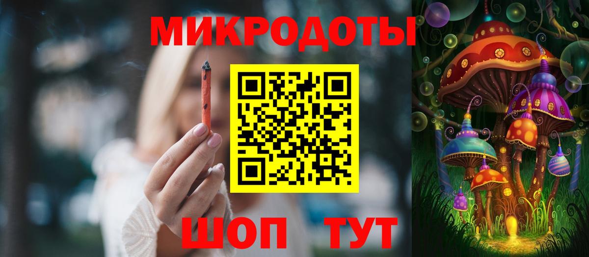 Псилоцибиновые грибы Psilocybe Зеленокумск