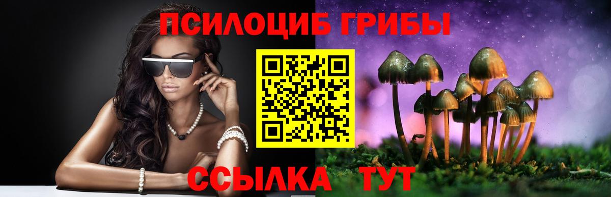 Галлюциногенные грибы мицелий  где купить наркотик  Галлюциногенные грибы Psilocybine cubensis  Зеленокумск  Вход с VPN 