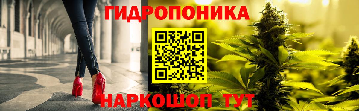 Марихуана сатива Зеленокумск